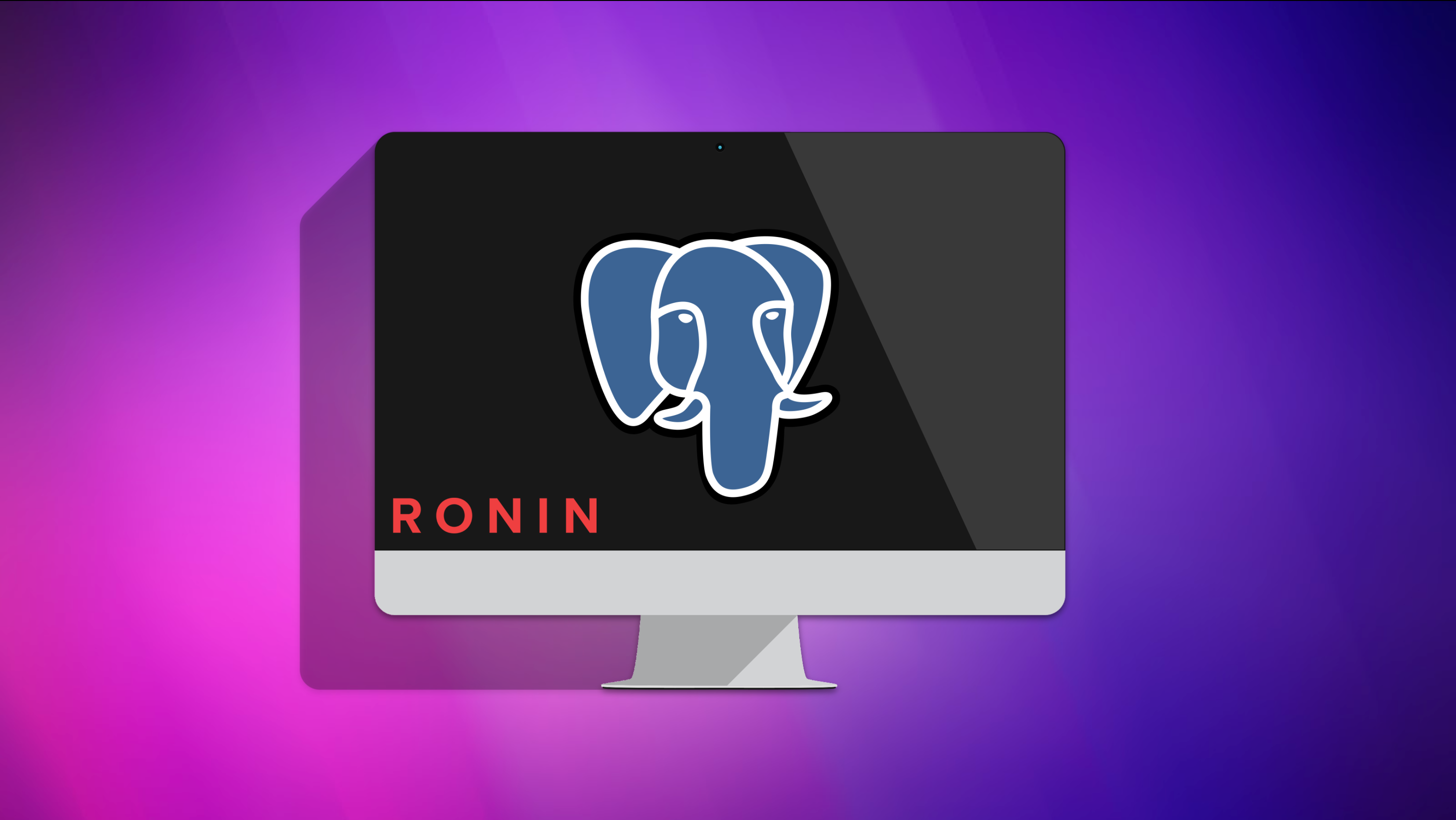 Creating a PostgreSQL Database in RONIN
