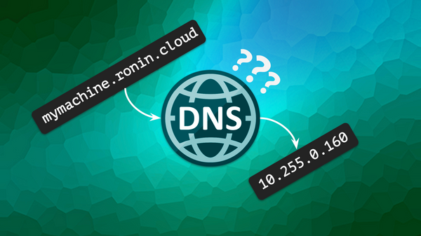 Determining which DNS server to use for your RONIN Isolate